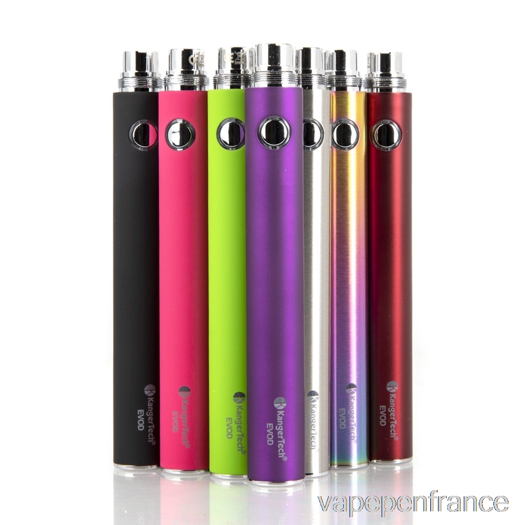 Kanger Evod-vv 1300mah / 1600mah Batterie [vv] 1600mah - Stylo Vape En Acier Inoxydable